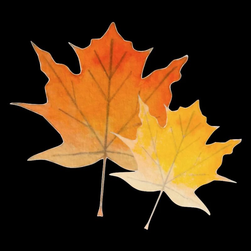 Feuilles d'érable