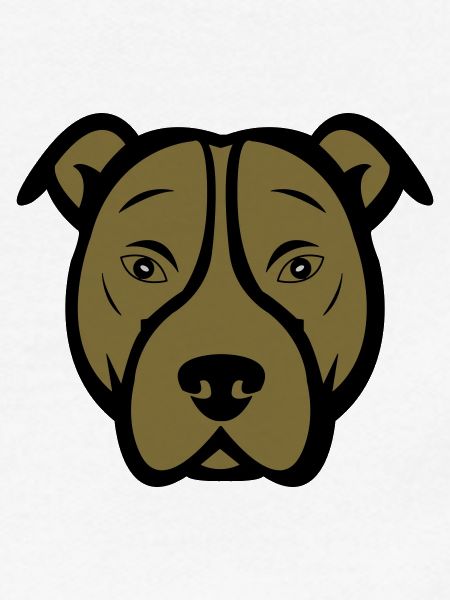 Chien