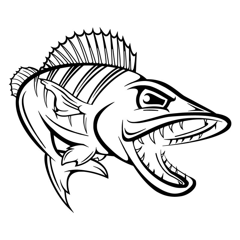 Perch 001