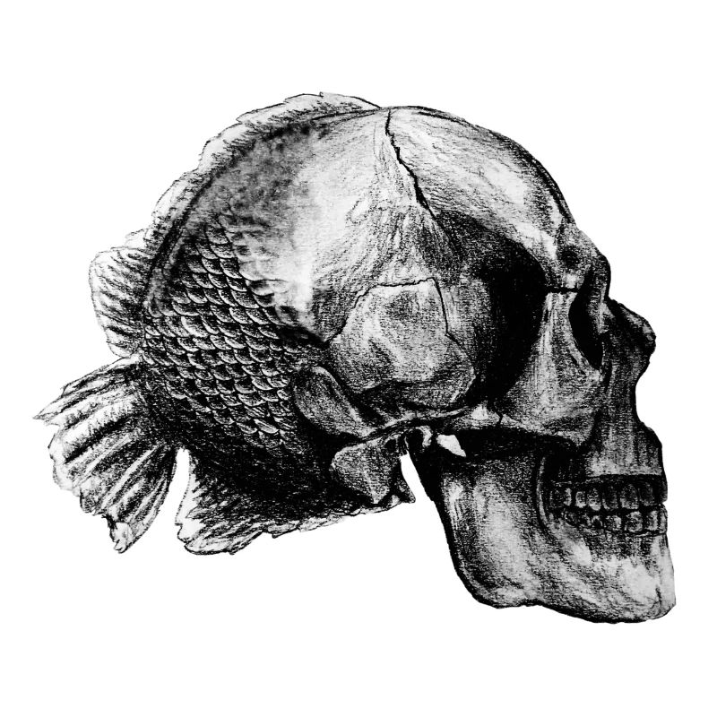 Skullfish