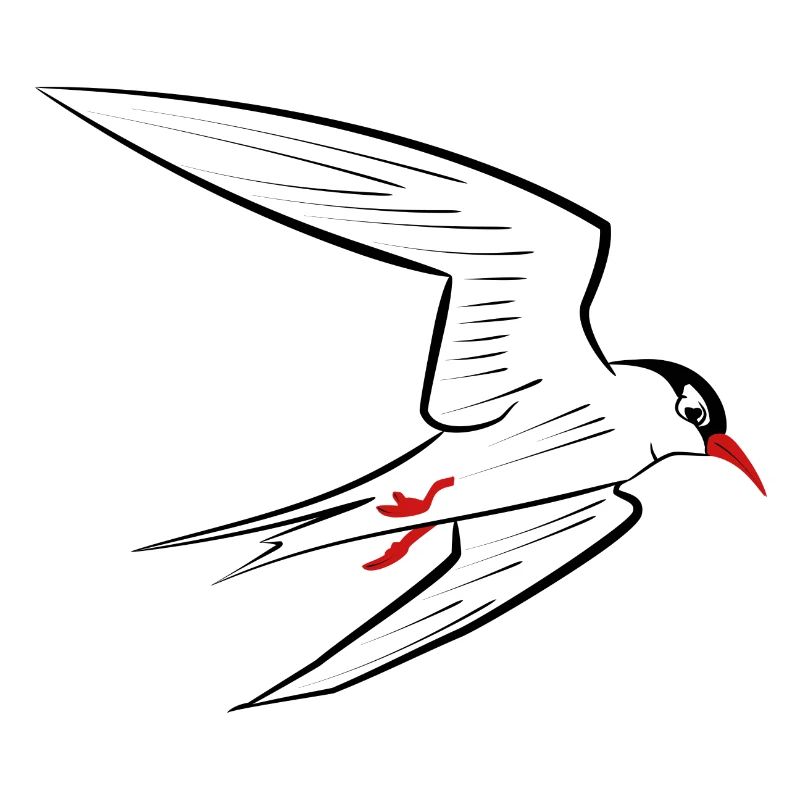 Tern