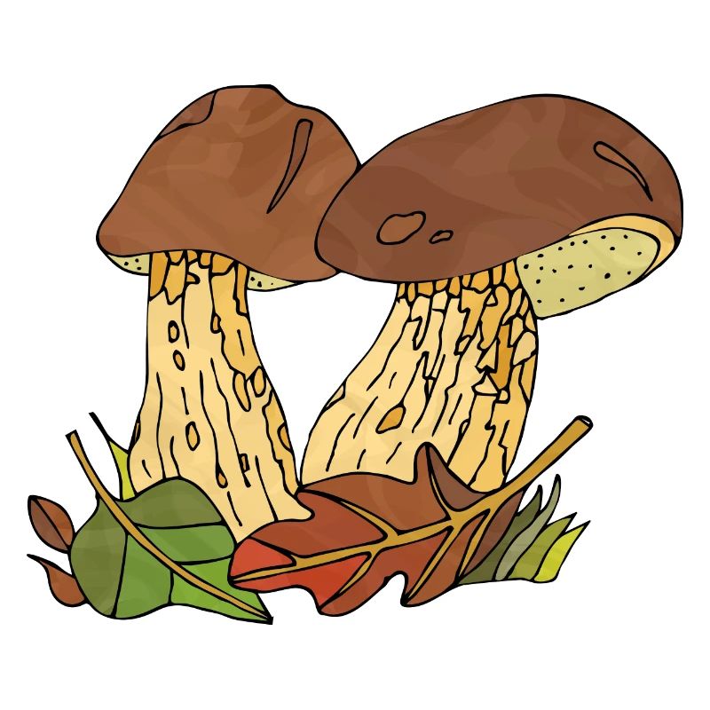 Champignons