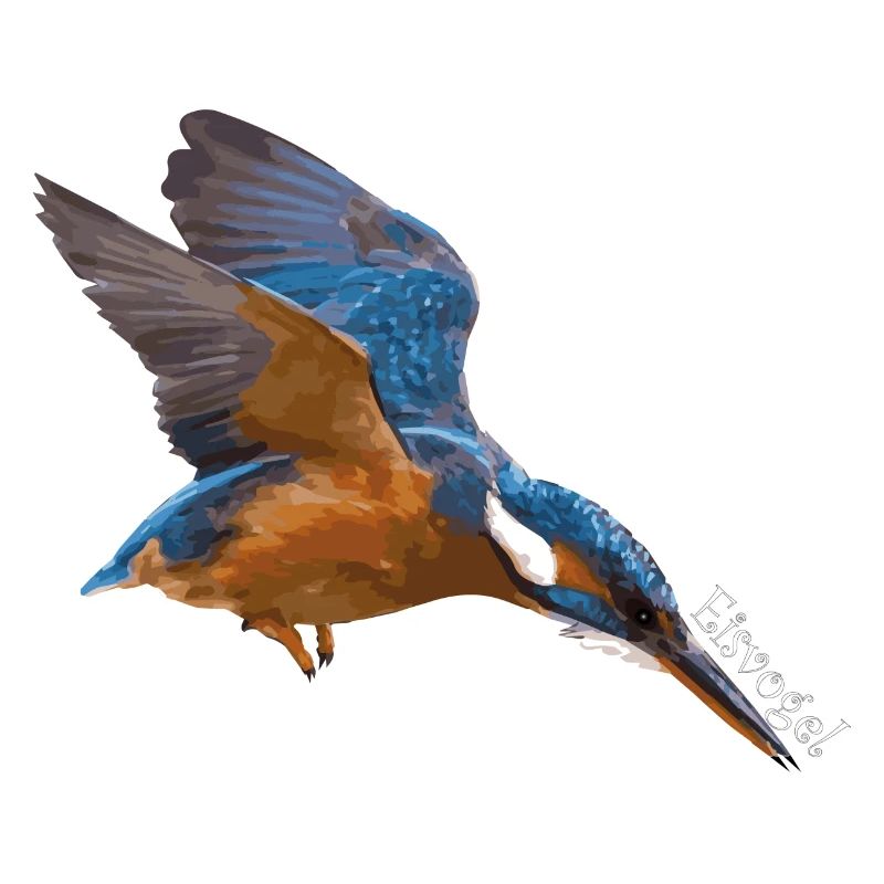 Der Eisvogel!