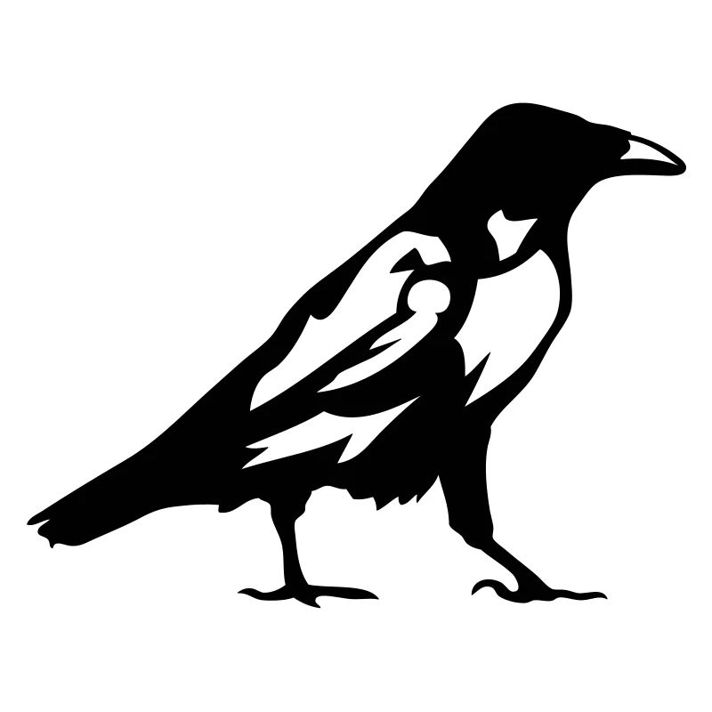 Vögel Rabe 1