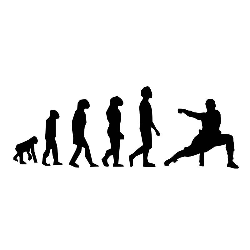 Kung-Fu-Evolution