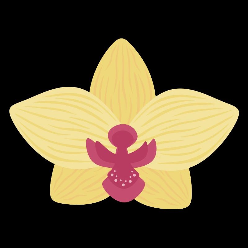 Gelbe Orchidee