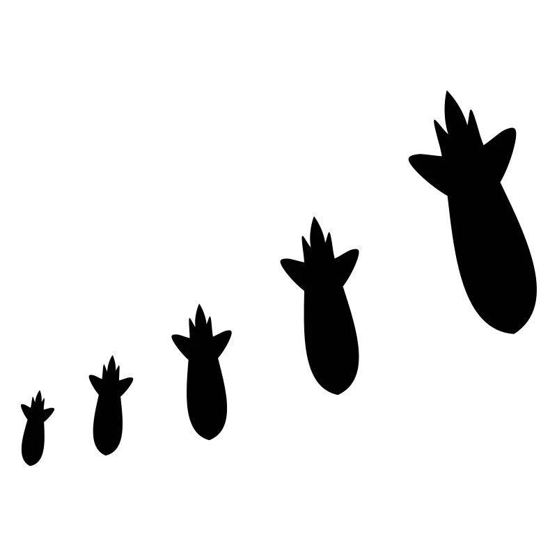 Bombs