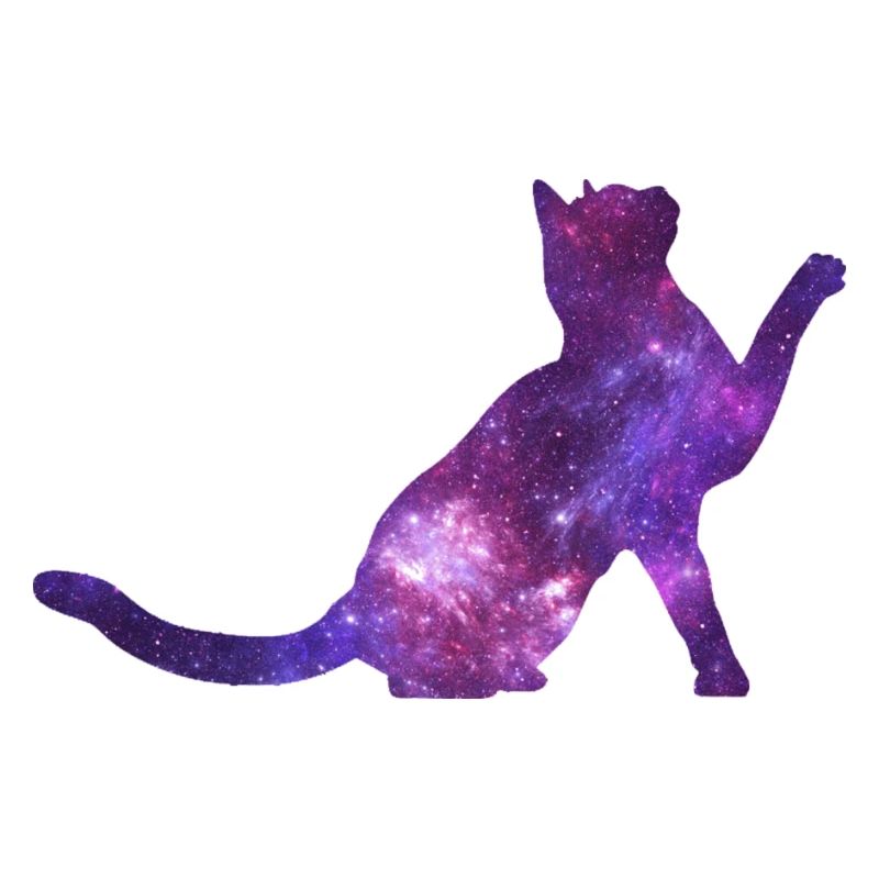 Chat de l’espace