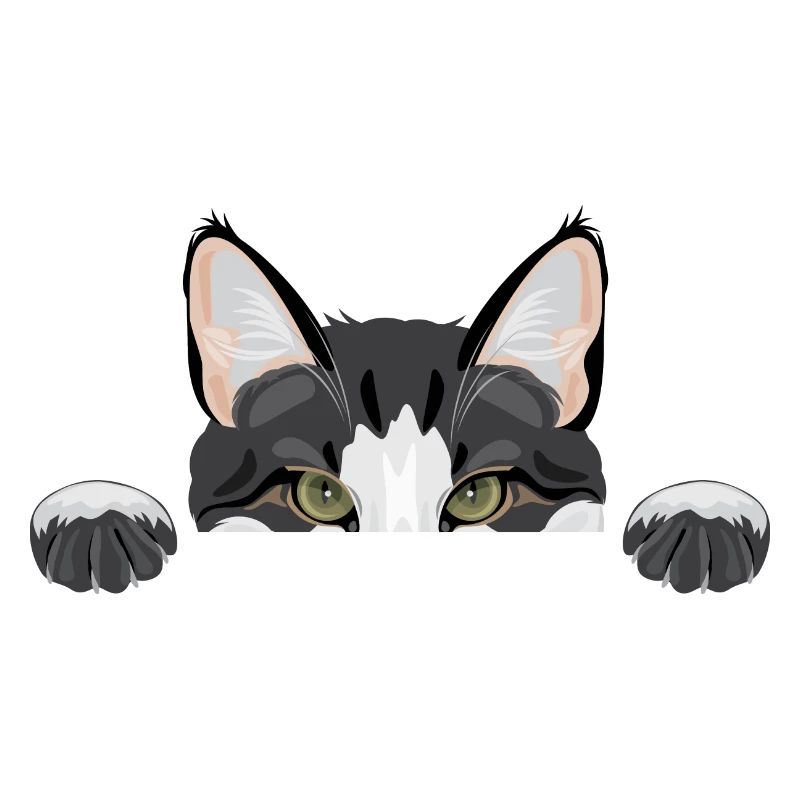 drôle de chat