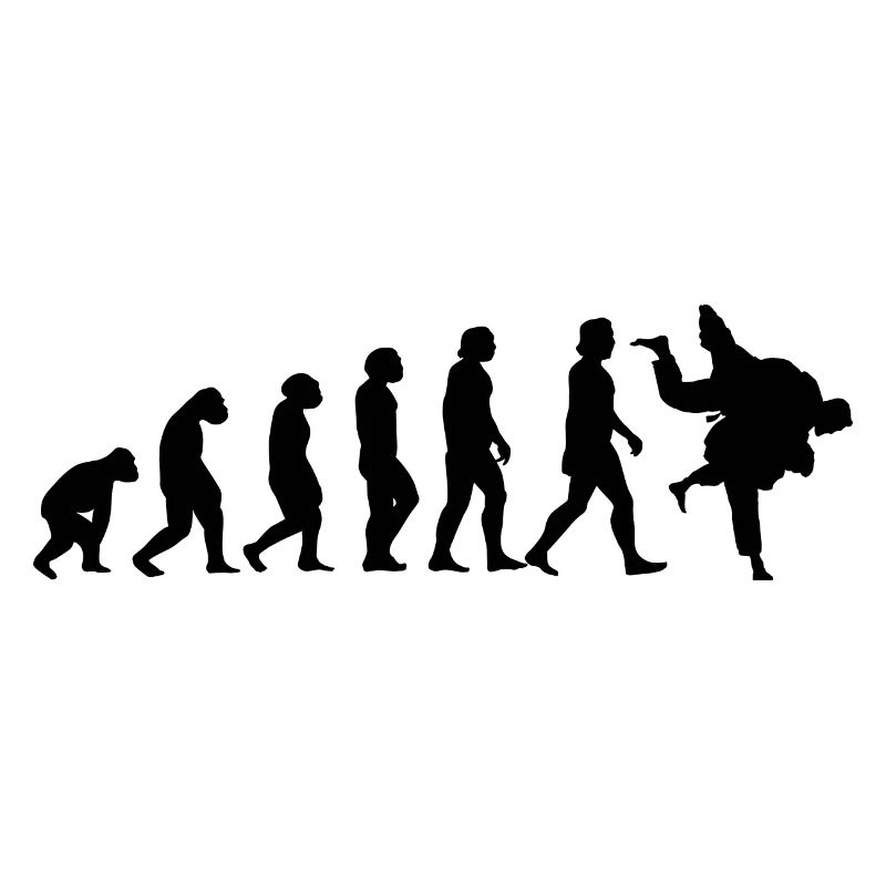 Evolution of Judo
