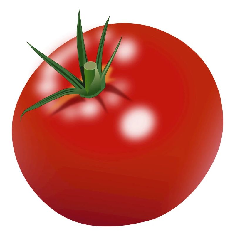 tomat