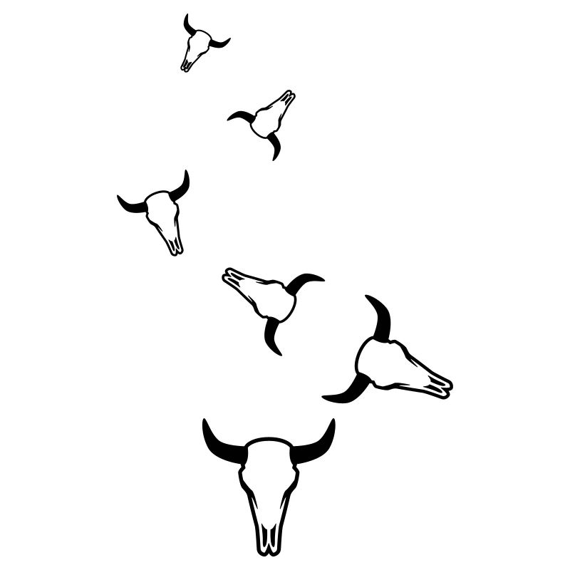 Crâne de vache taureau
