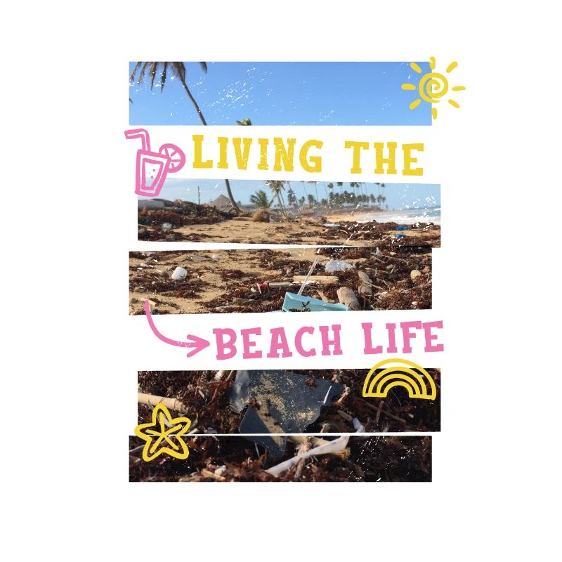 Déchets de design d’été sarcastiques sur la plage