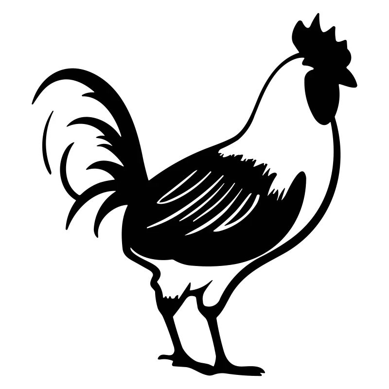 Hen
