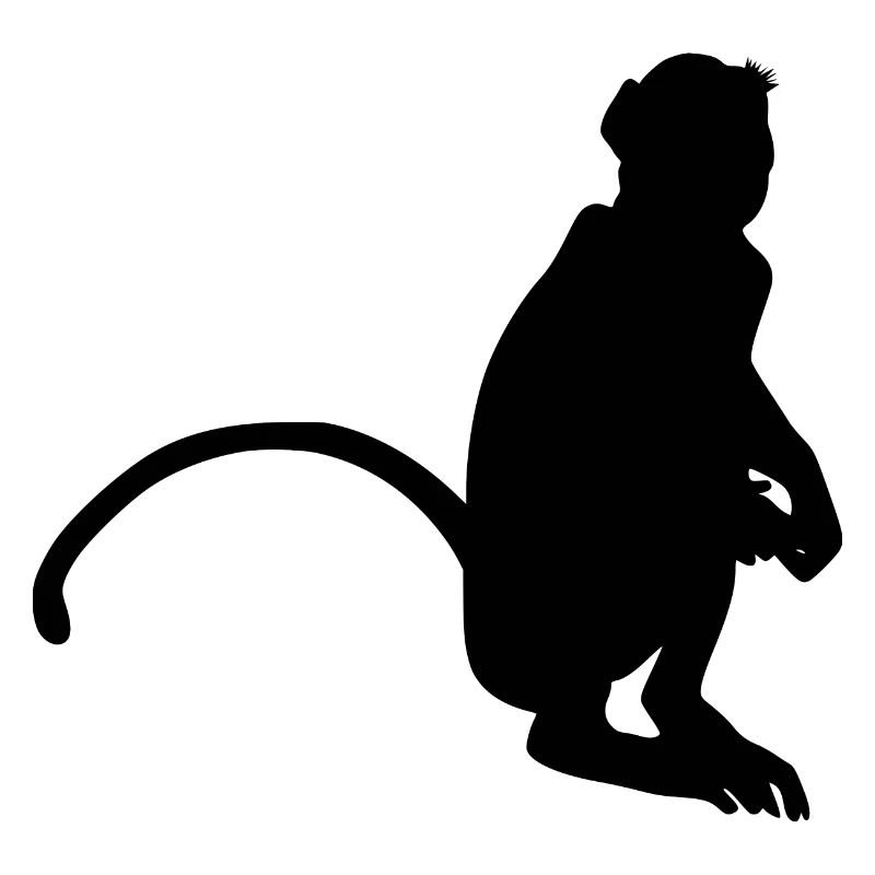 Neugieriger Affe