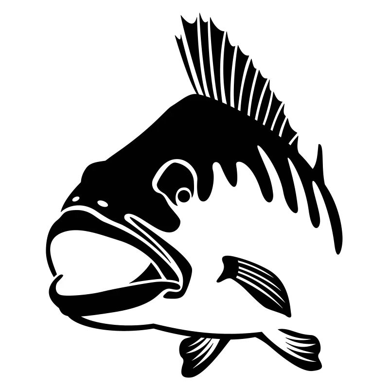 Perch (Perch)