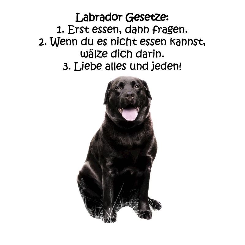 Die Gesetze eines Labradors