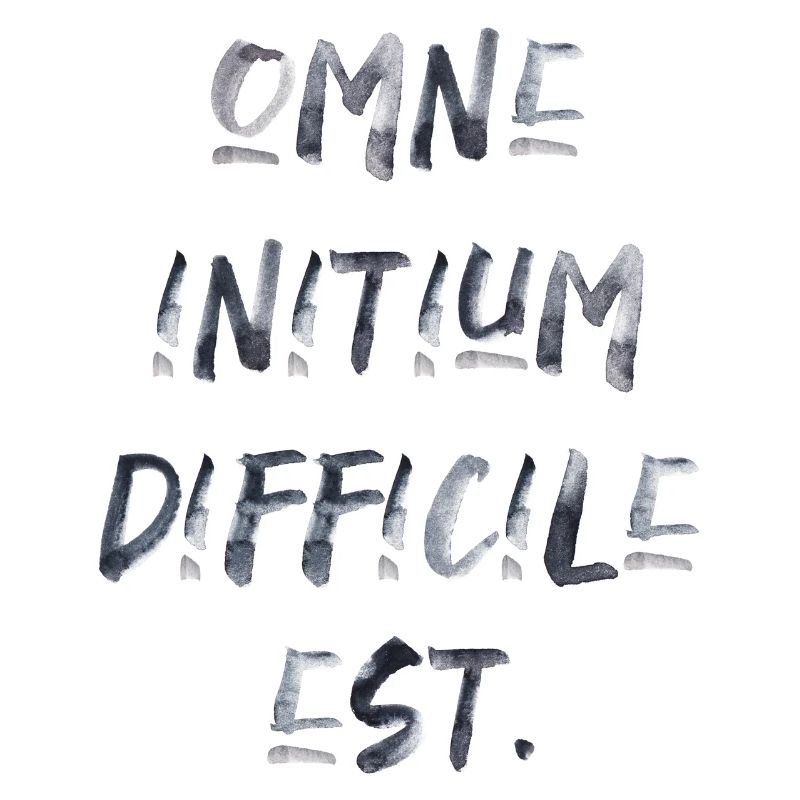 tout commencement est difficile citation latine écriture