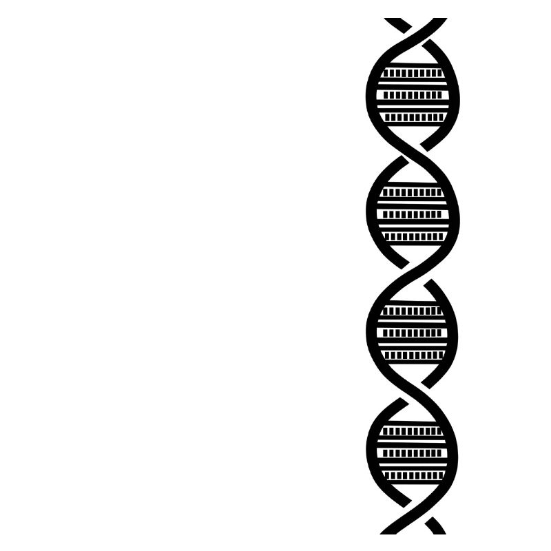 Black DNA harmonica for harmonica player