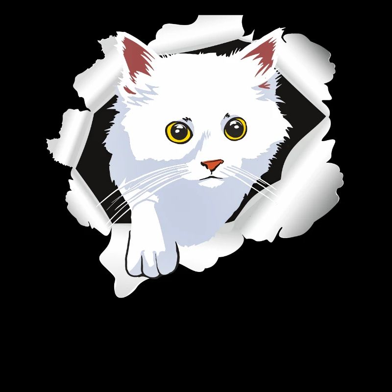 KATZE W