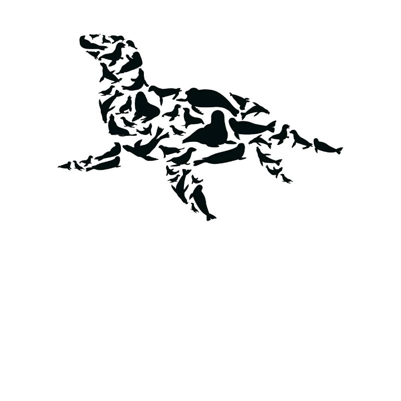Robbe Seelöwe Robben Silhouette