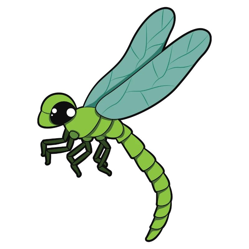 Libellule