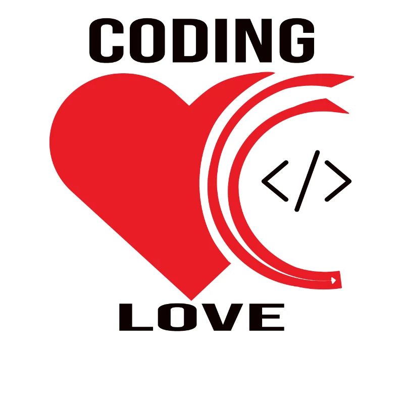 Softwareentwickler Programmierer Geschenk