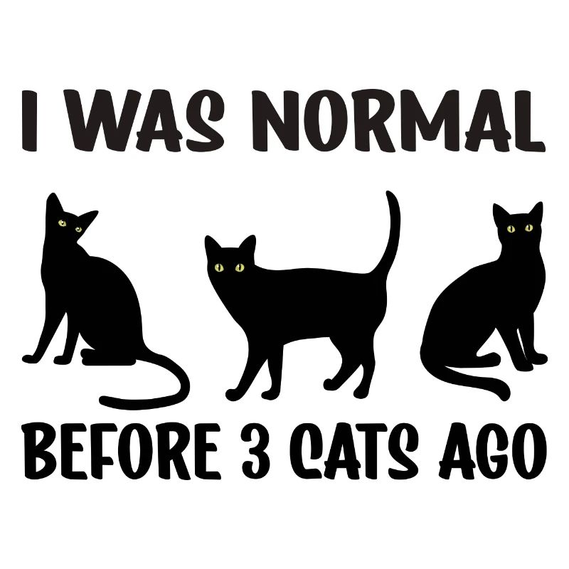 Chat drôle propriétaire amant était normal 3 chat