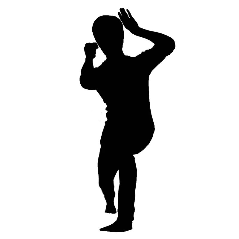 Bruce Lee Shadow Biu Da