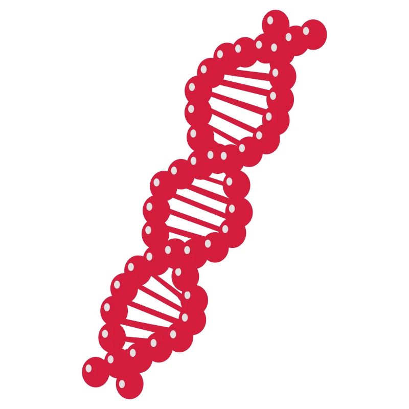 DNA - ADN