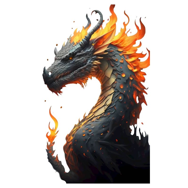Dragon head with fire