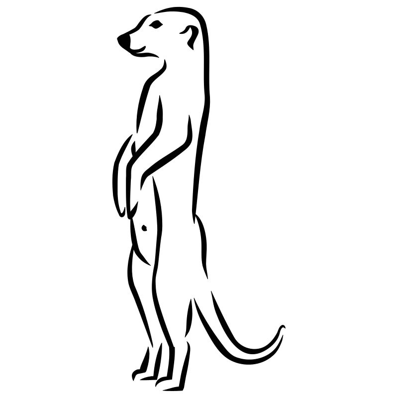 Suricate