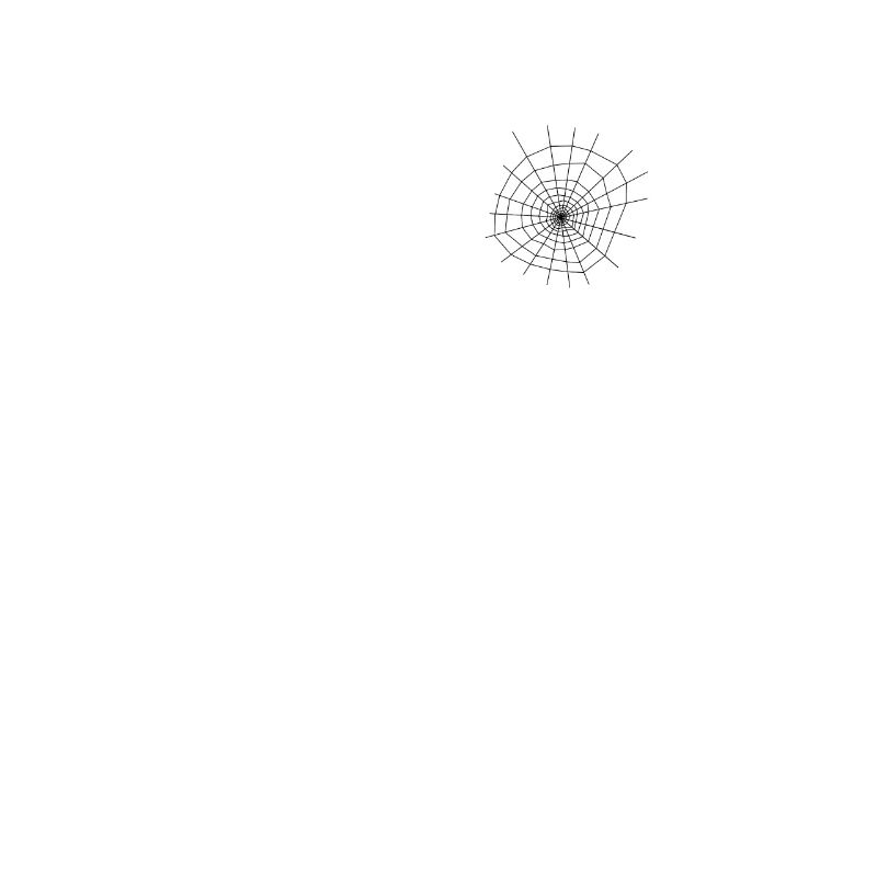 Cobweb