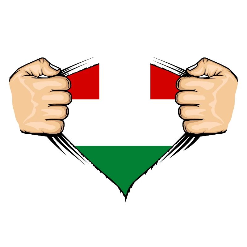 Conception du drapeau de la Hongrie