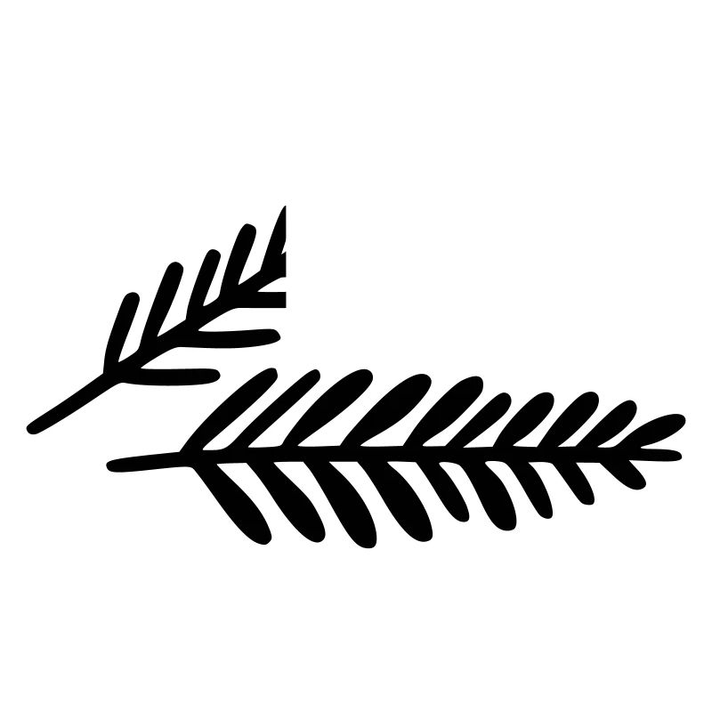 Fir branches