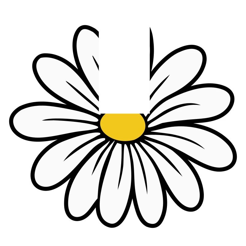 Gänseblümchen