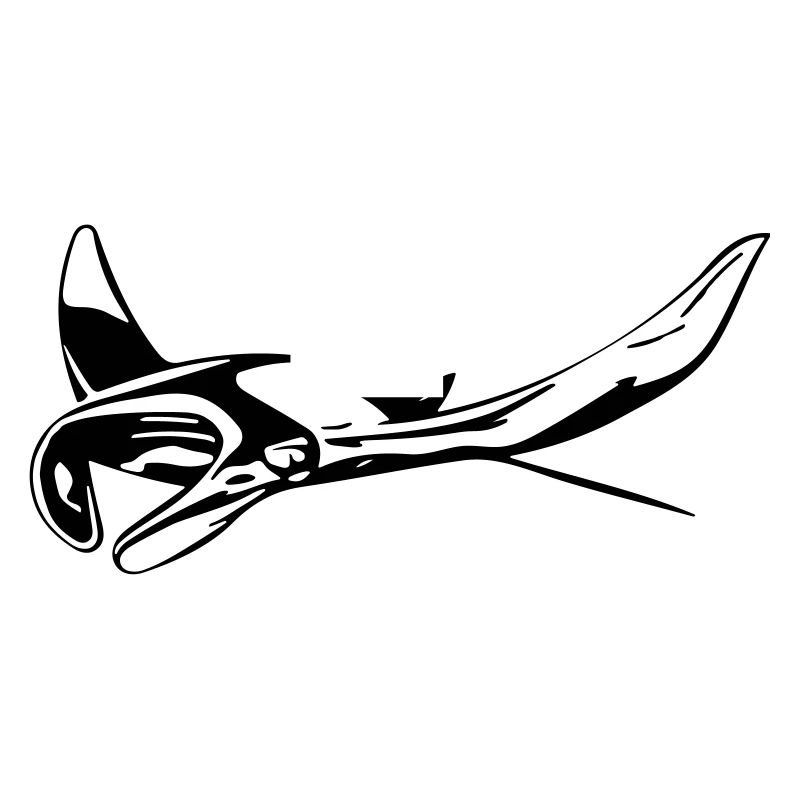 Manta Rochen