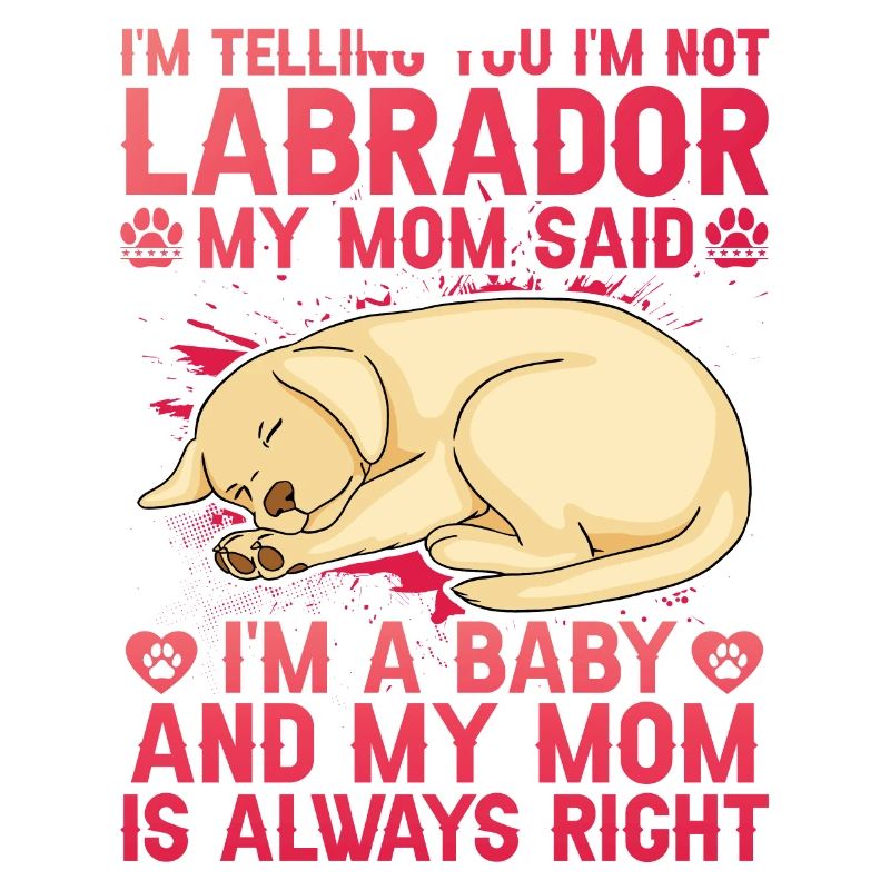 Labrador