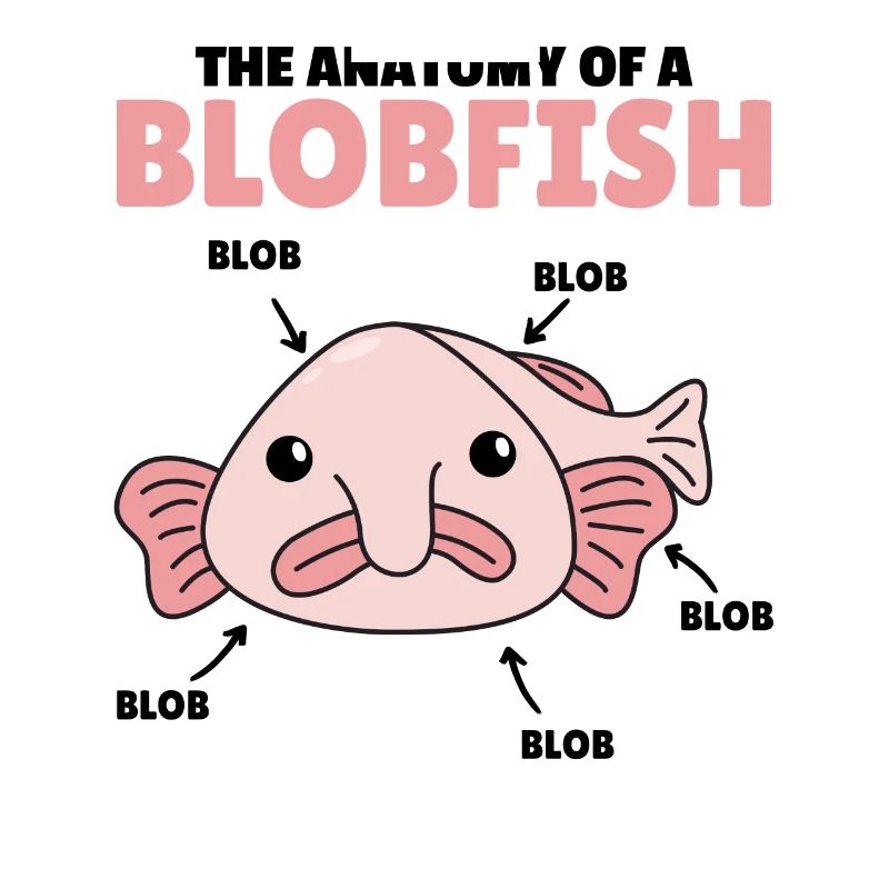 Blobfish Explication Anatomie d’un Blobfish