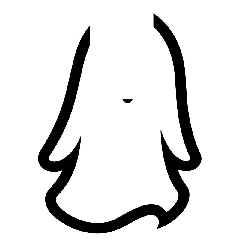Geist