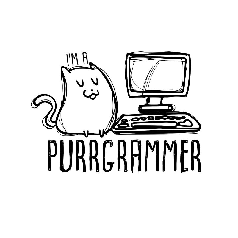 programmeur
