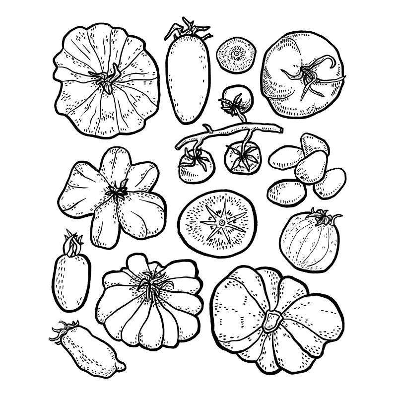 Tomatoes