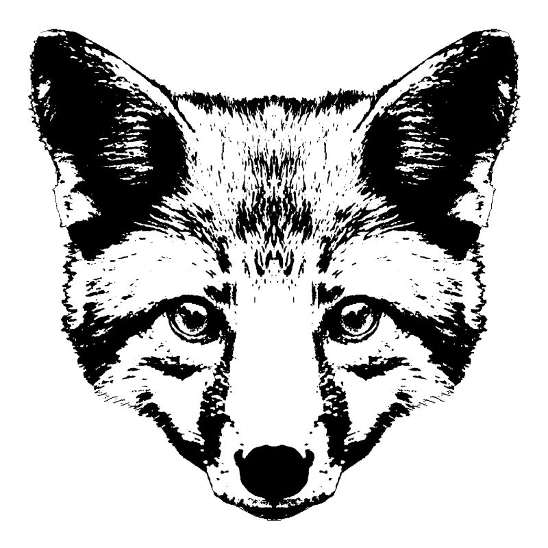 Fox Head Graphic