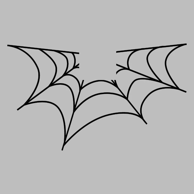 Spider web