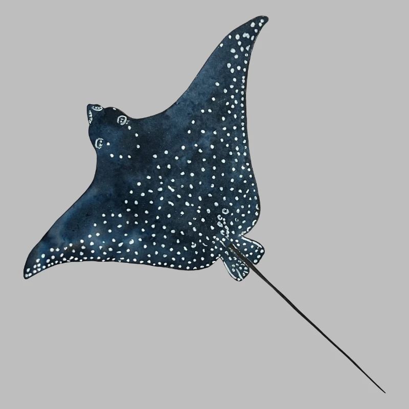 Rays Eagle Rays Stingrays Reef Plongée