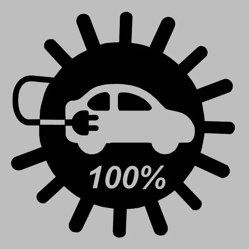 e-car, e-mobility, electric car, zoe, EV-driver