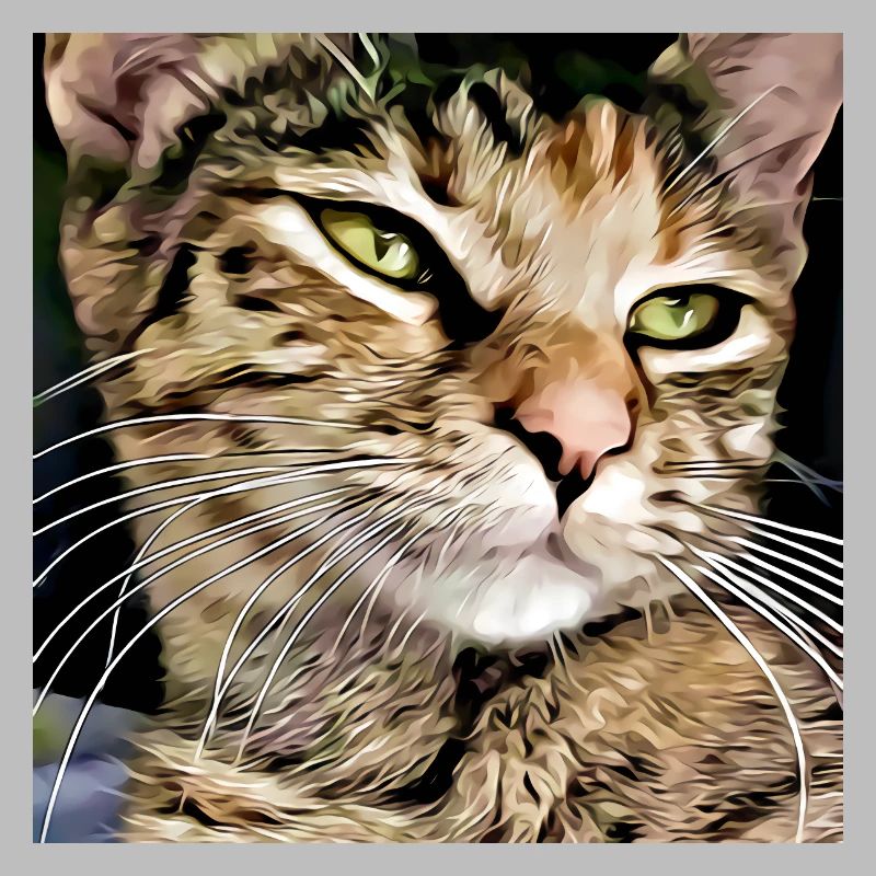 Portrait de chat tabby