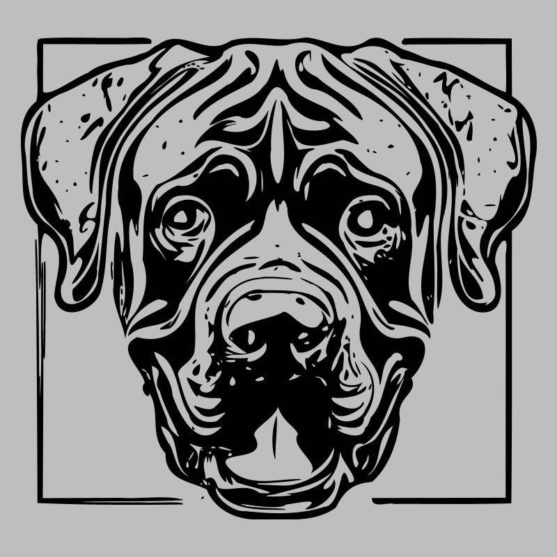 cane corso