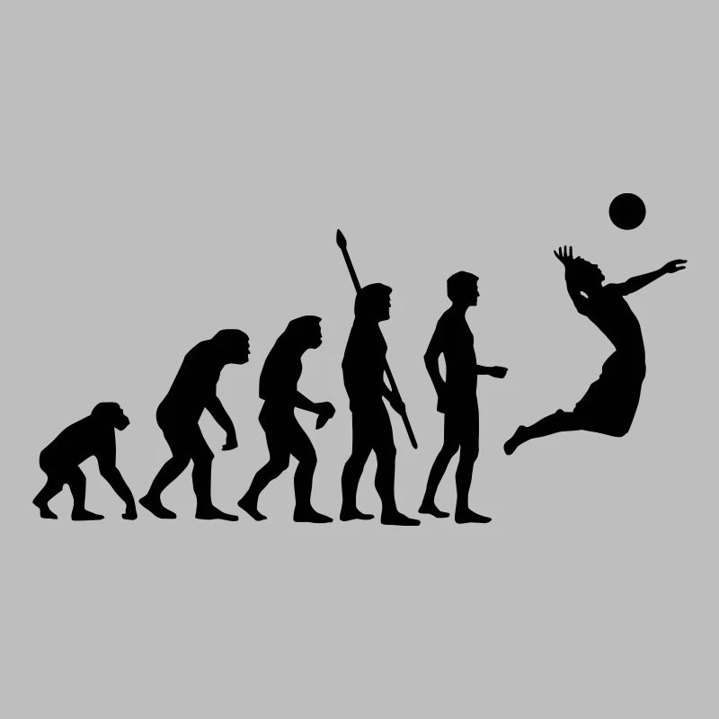 evolution_volleyball_1c