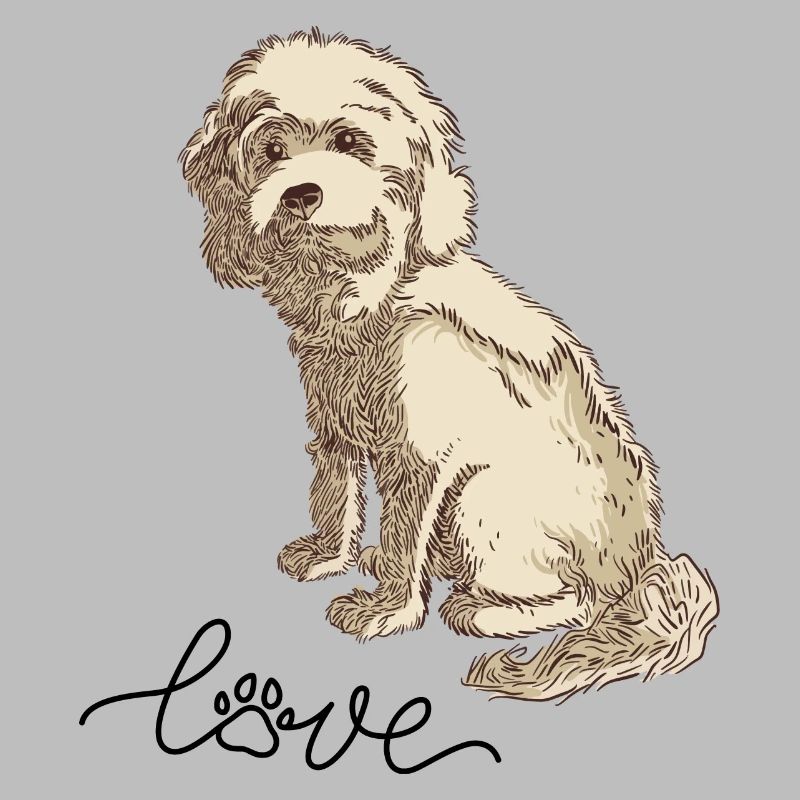 Cockapoo Cocker Spaniel Caniche Caniche miniature amour de chien
